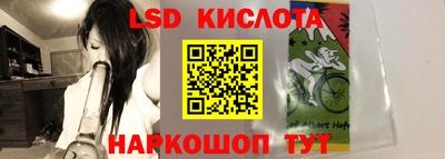 прущие грибы Будённовск