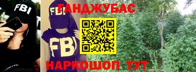 прущие грибы Будённовск