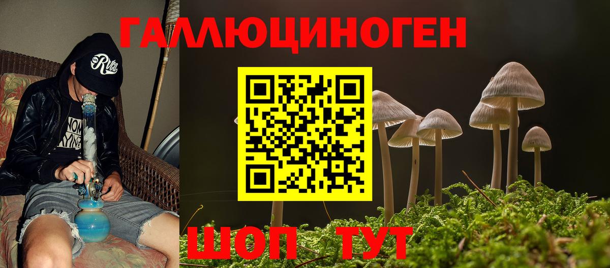 Подольск  Галлюциногенные грибы прущие грибы  Вход с VPN 